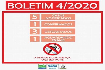 Foto - BOLETINS INFORMATIVOS DENGUE